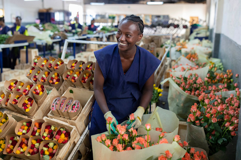 Kefanesh-Tameru,-a-Flower-Worker-at-Herburg-Roses-(2)-Photo-credit-Toby-Richards