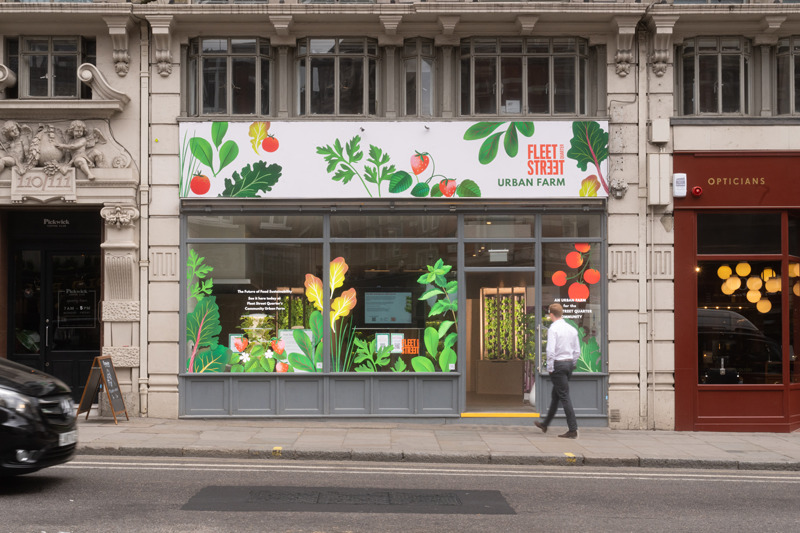 Sustainable Urban Farm pop-up to provide 1,000 supermarket size salad bags of greens for Fleet Street Quarter community