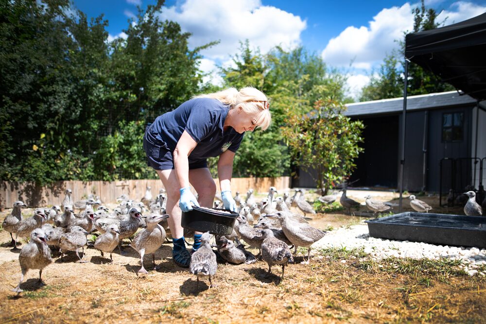 SEWH-x-Lakeside-Charity-Partnership