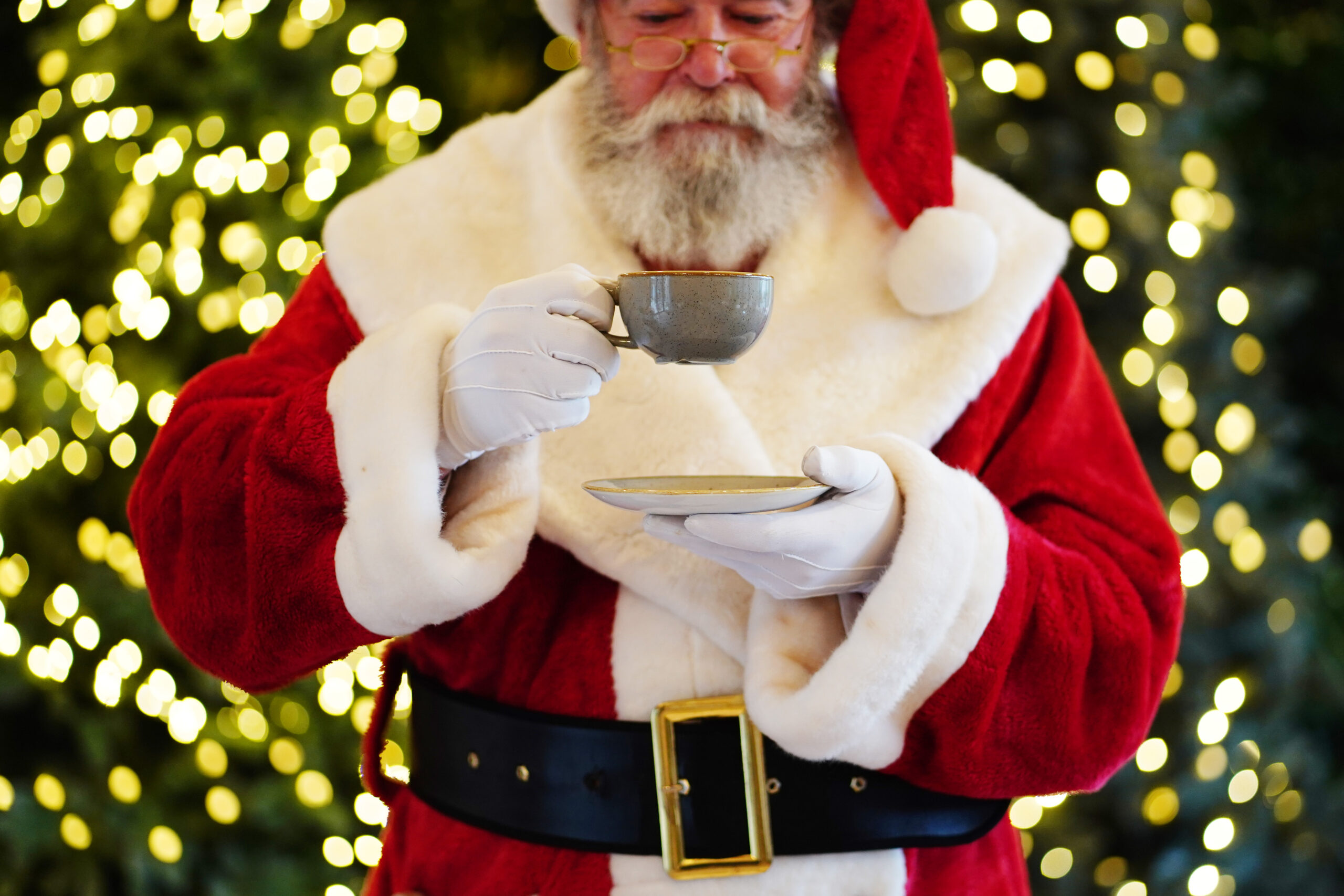 Dobbies launches 2021 festive events programme A1 Retail Magazine